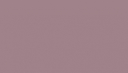 Salmon 5987